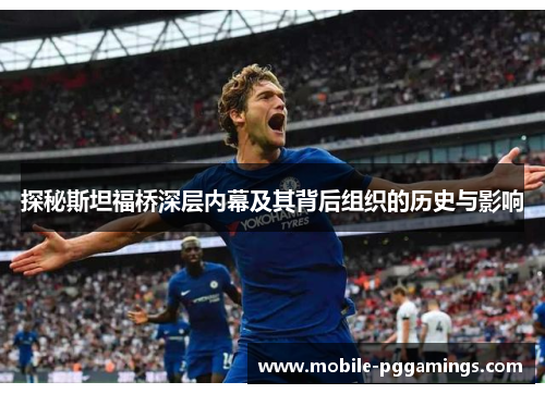 探秘斯坦福桥深层内幕及其背后组织的历史与影响